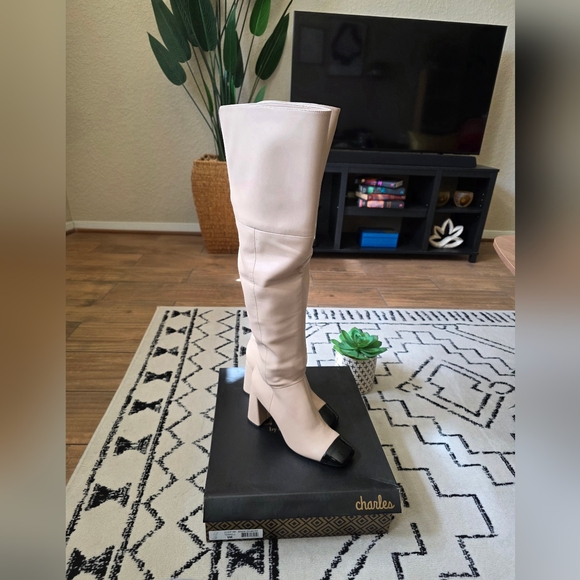 Charles David Shoes - GORGEOUS Charles David Over-the-Knee Terrell Boots- New! Never Worn!
